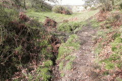 1. Source of Shillett Combe Water