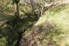 6. The early stream
