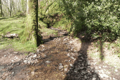 Flowing down Shillett Combes (15)