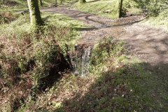 Flowing down Shillett Combes (17)