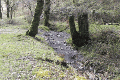 Flowing down Shillett Combes (19)