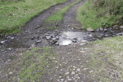 Flowing down Shillett Combes (20)