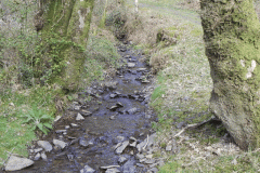 Flowing down Shillett Combes (21)