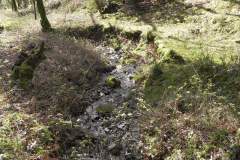 Flowing down Shillett Combes (24)