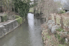 46. Looking upstream from Bampton Bridge