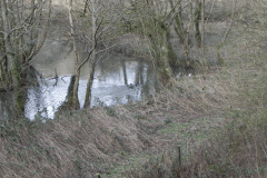 55. Upstream from Tucking Mill