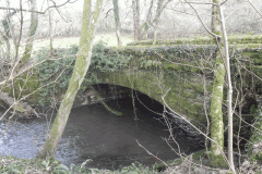 63. Tuckingmill Railway Bridge upstream arch
