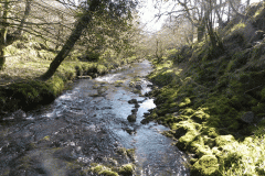 45. Flowing past Shircombe Brake