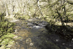 46. Flowing past Shircombe Brake