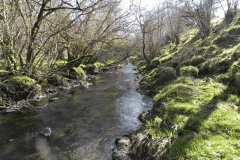 47. Flowing past Shircombe Brake