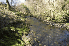 48. Flowing past Shircombe Brake
