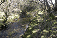 49. Flowing past Shircombe Brake