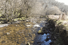 51. Flowing past Shircombe Brake