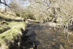 52. Flowing past Shircombe Brake
