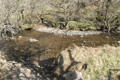 53. Flowing past Shircombe Brake