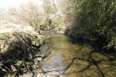 54. Flowing past Shircombe Brake