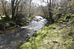 55. Flowing past Shircombe Brake