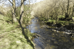56. Flowing past Shircombe Brake