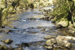 57. Flowing past Shircombe Brake