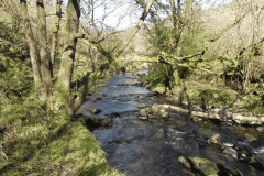 58. Flowing past Shircombe Brake