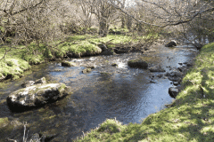 59. Flowing past Shircombe Brake