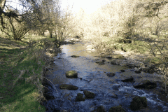 60. Flowing past Shircombe Brake
