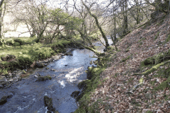 61. Flowing past Shircombe Brake
