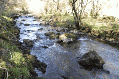 62. Flowing past Anstey Rhiney Moor