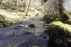 63. Flowing past Anstey Rhiney Moor