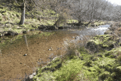 66. Flowing past Anstey Rhiney Moor