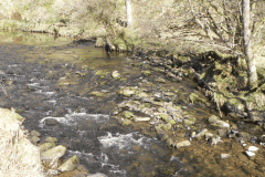 67. Flowing past Anstey Rhiney Moor