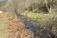68. Flowing past Anstey Rhiney Moor