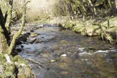 69. Flowing past Anstey Rhiney Moor