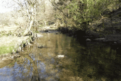70. Flowing past Anstey Rhiney Moor