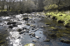 71. Flowing past Anstey Rhiney Moor