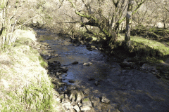 75. Downstream from Zeal Farm Ford