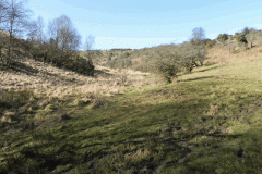 78. Longstone Combe