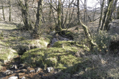 79. Waters joining from Longstone Combe