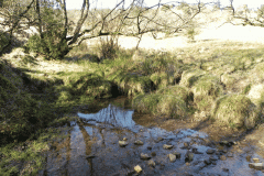 80. Waters joining from Longstone Combe