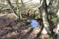 81. Waters joining from Longstone Combe