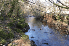84. Waters joining from Longstone Combe