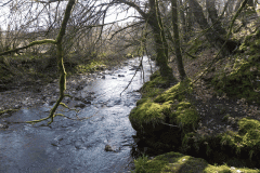 85. Looking downstream from Longstone Combe