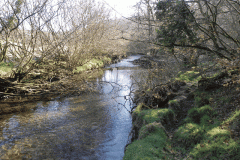 86. Downstream from Longstone Combe