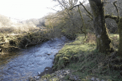 87. Downstream from Longstone Combe