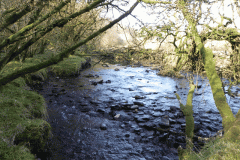 89. Flowing past Zeal Farm