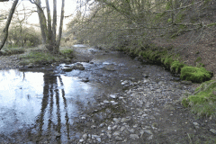 98. Upstream from Slade Bridge
