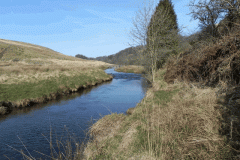 10. Downstream from Halscombe Water