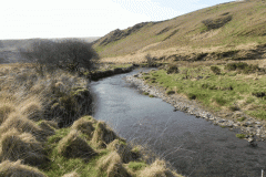 11. Downstream from Halscombe Water