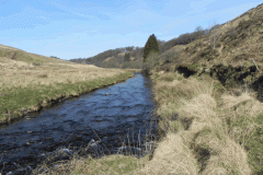 12. Downstream from Halscombe Water
