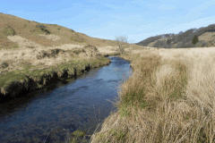 14. Upstream from Flexbarrow